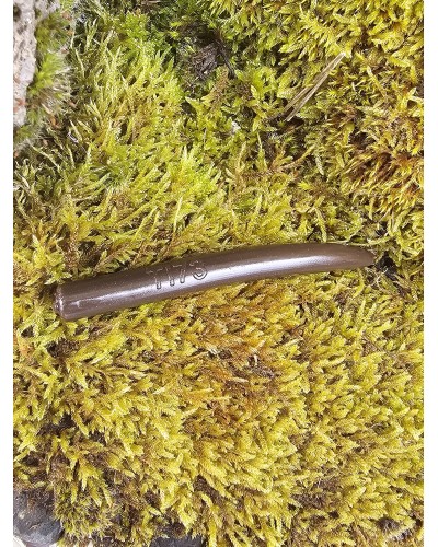 Tournaments worms 100mm cola