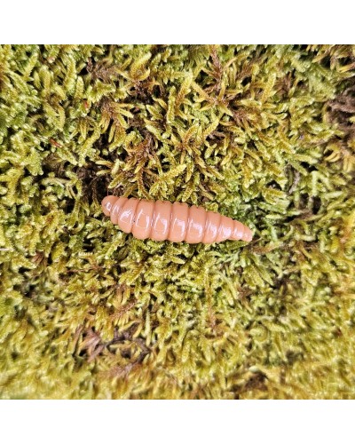 Détail-du-silicone-biodégradable-et-de-l'attractant-TL73-sur-le-leurre-artisanal-Big Mag.