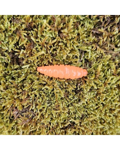 Big-Mag-fabrication-française-par-un-Champion-de-France-de-pêche.