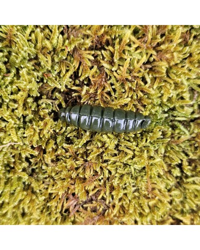 Big-Mag-fabrication-française-par-un-Champion-de-France-de-pêche.