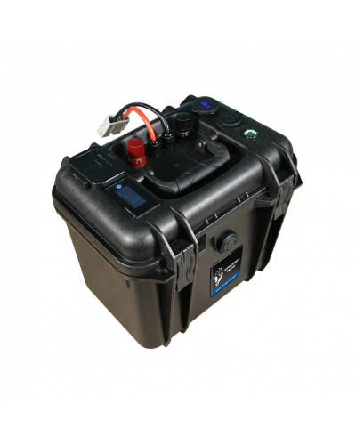 bornes-m8-prises-anderson-valise-lithium-ultimatron.jpg