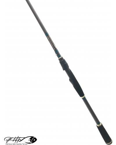 Canne spinning artisanale bass en cover 5-25g posée entière, ligatures vert métallique et bagues dorées